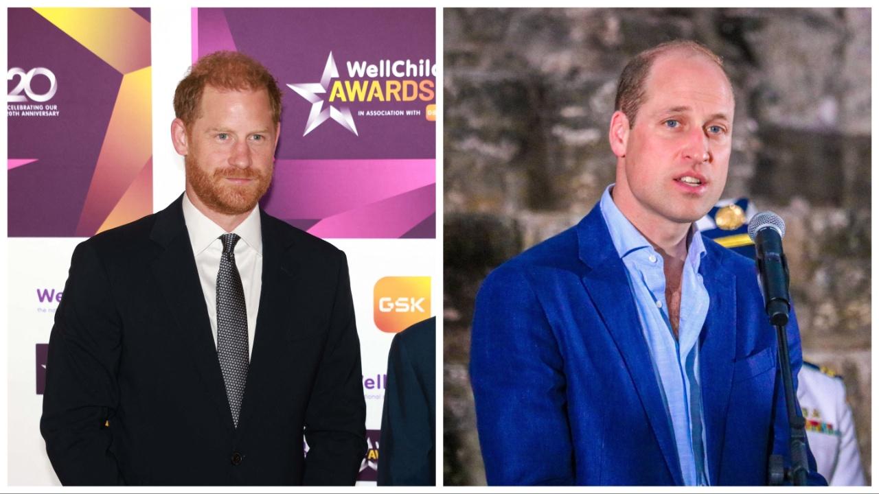 Prince Harry and Prince William