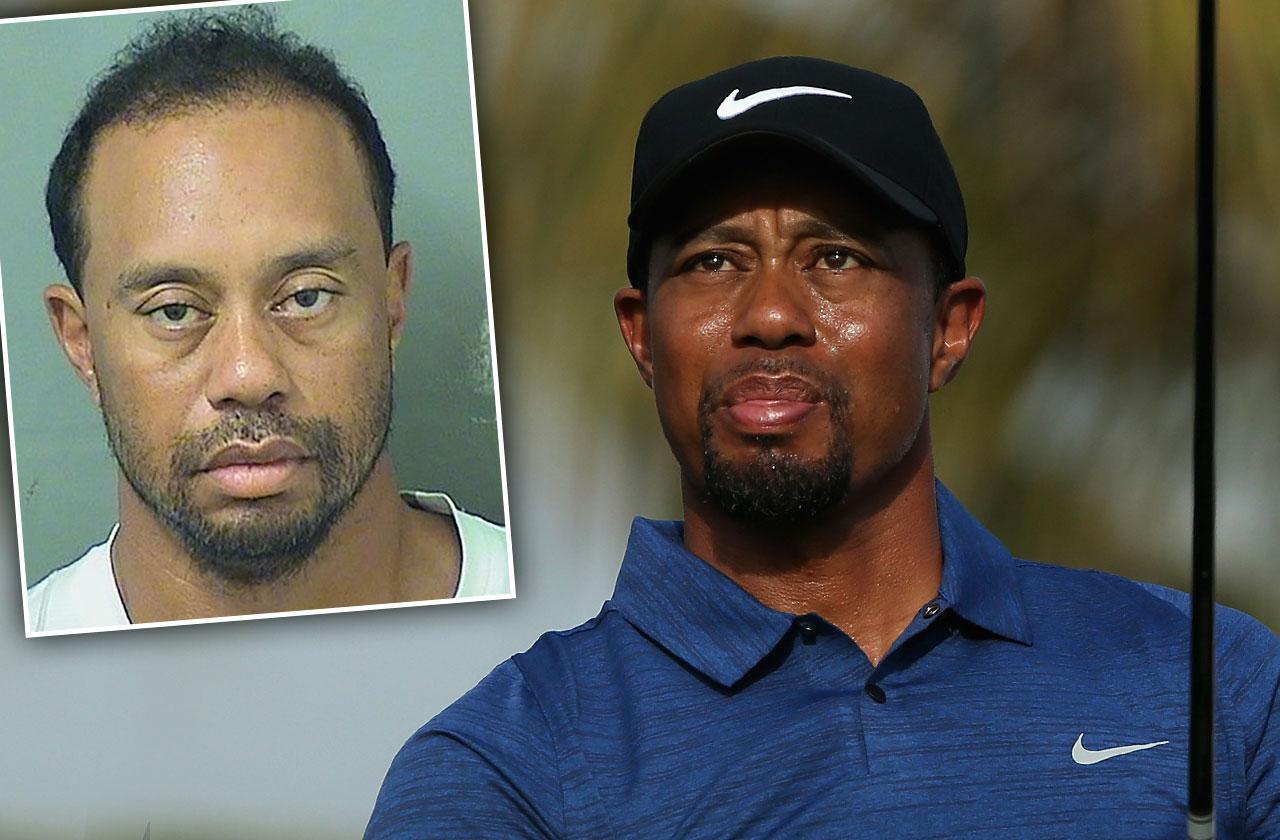 Tiger Woods Arrested DUI Statement Medication