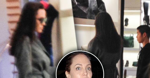 //angelina jolie divorce brad pitt shopping pax pp