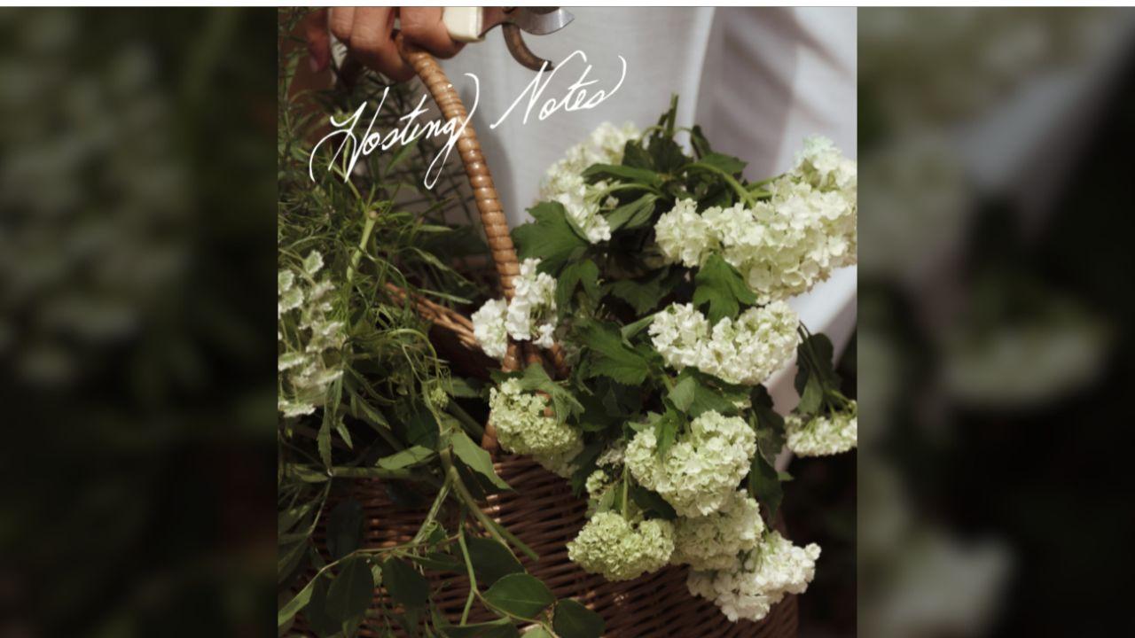 Photo of wilting flowers