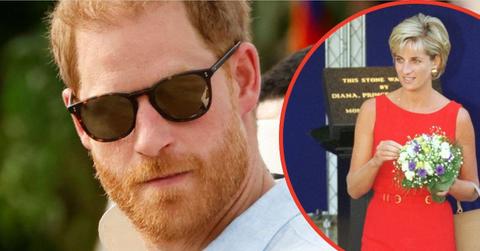Photo of Princess Diana and Prince Harry