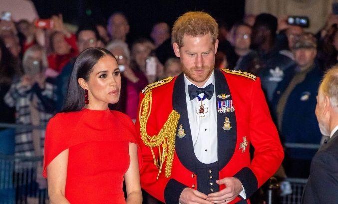 prince harry meghan markle secretly admitted plan of chasing separate careers