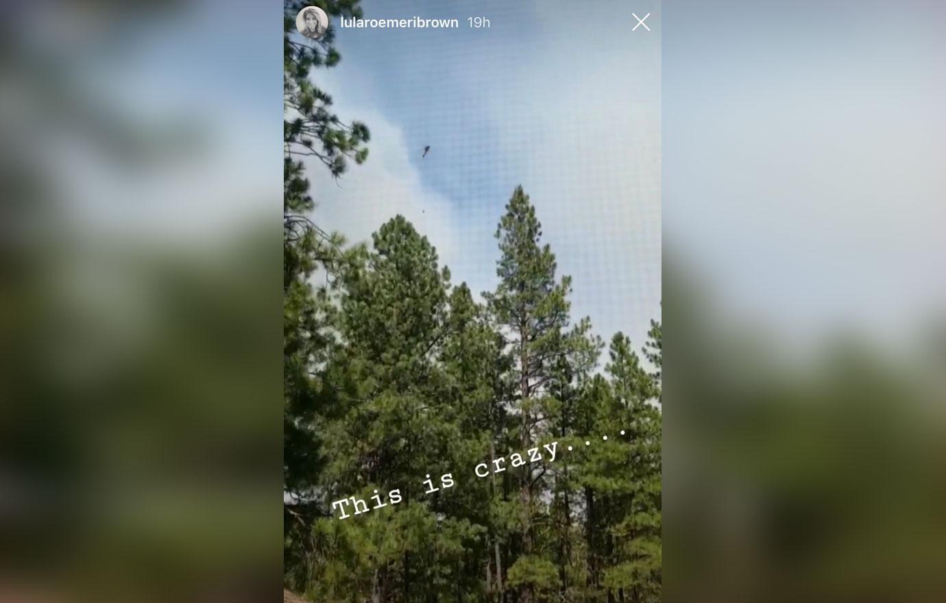 Screenshot of Meri Brown's IG Story Photo Of Trees