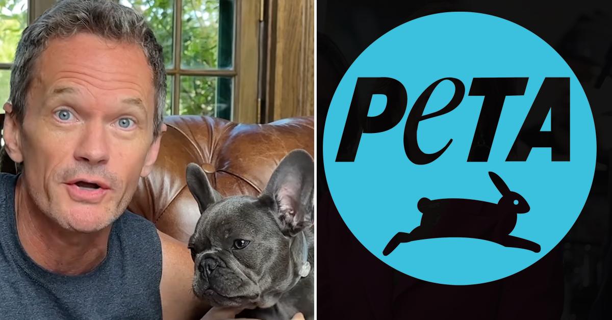 Neil Patrick Harris Slammed by PETA Over French Bulldog Puppy
