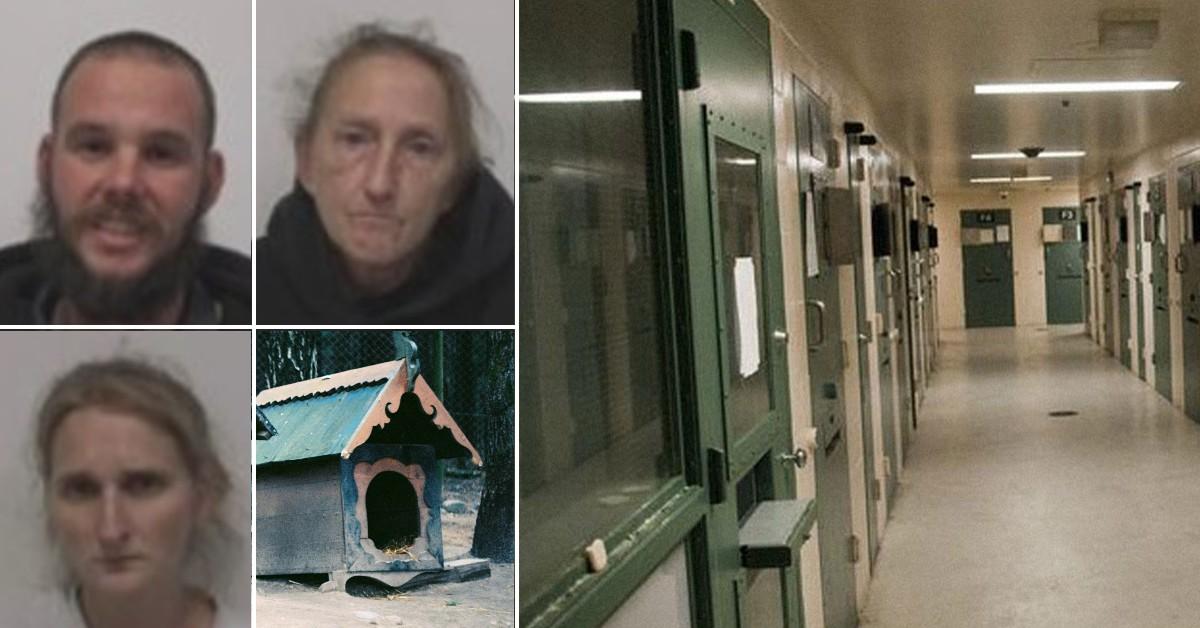 Child Found Locked In Dog Kennel In North Carolina