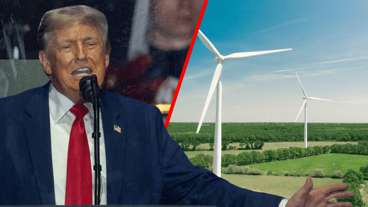 Donald Trump inadvertently called himself a 'loser' while bashing nations that use windmill energy.