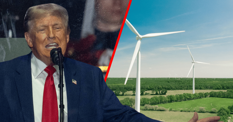 Donald Trump inadvertently called himself a 'loser' while bashing nations that use windmill energy.