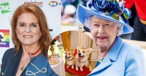 queen elizabeth orders after death communicates via corgis