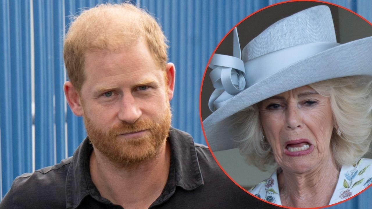 Photo of Prince Harry, Queen Camilla