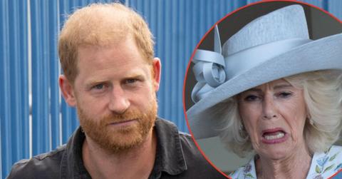 Photo of Prince Harry, Queen Camilla
