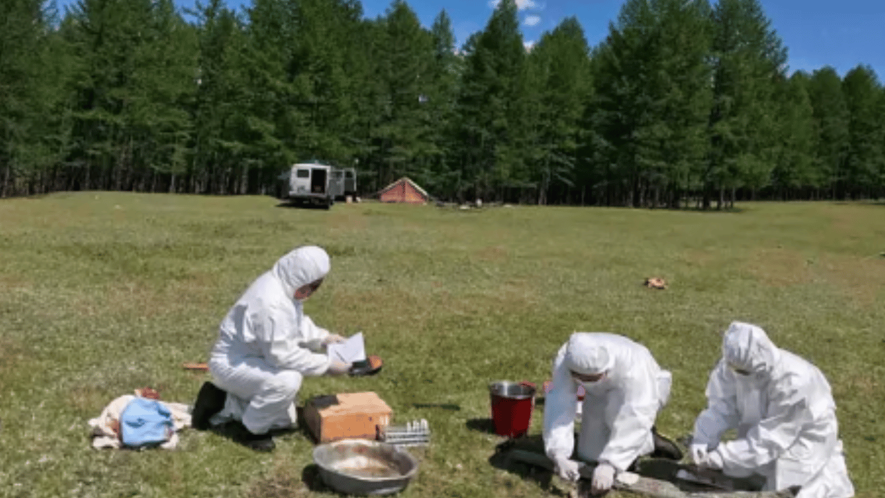 A photo of researchers in the field