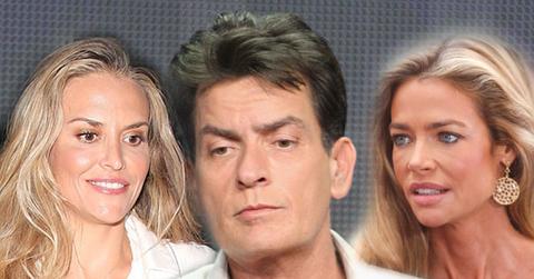 //charlie sheen brooke mueller denise richards custody case settlement claims pp