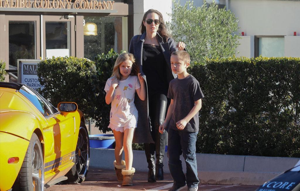 Brad Pitt Angelina Jolie Divorce Custody Battle Kids Twins Malibu Pics