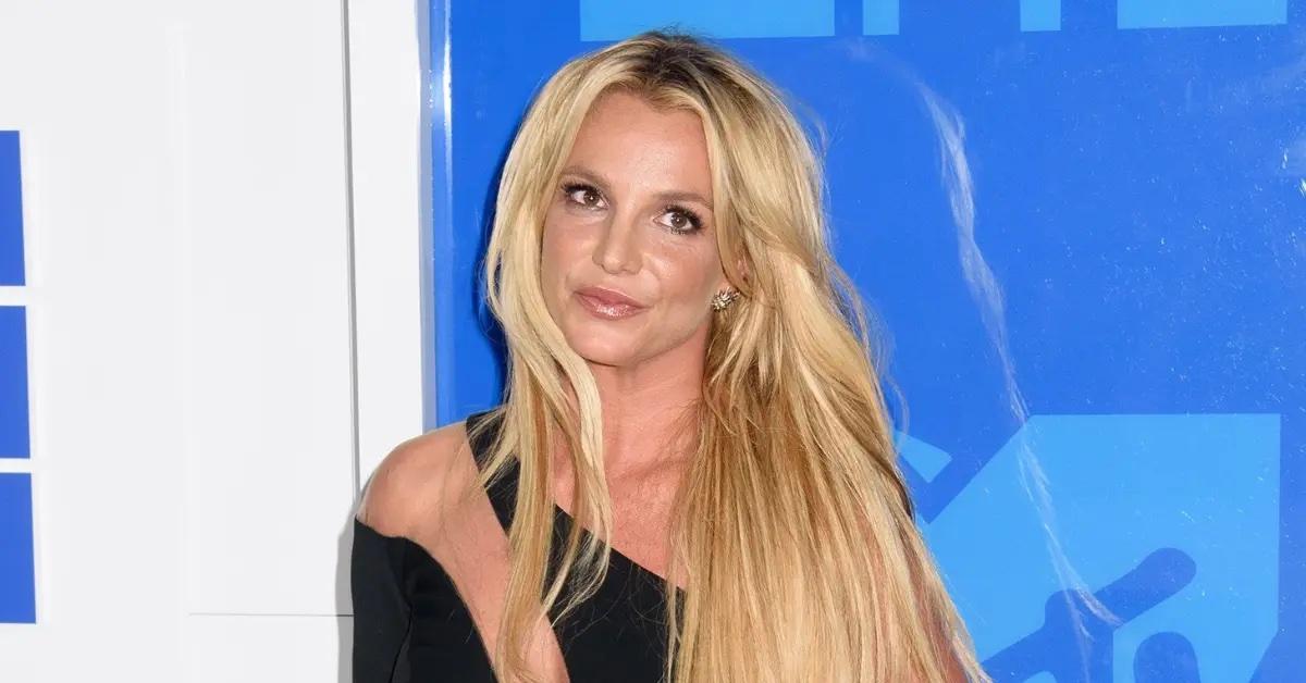 Britney Spears poses in see-through top after star reveals she 'nearly got  a boob job' following her conservatorship