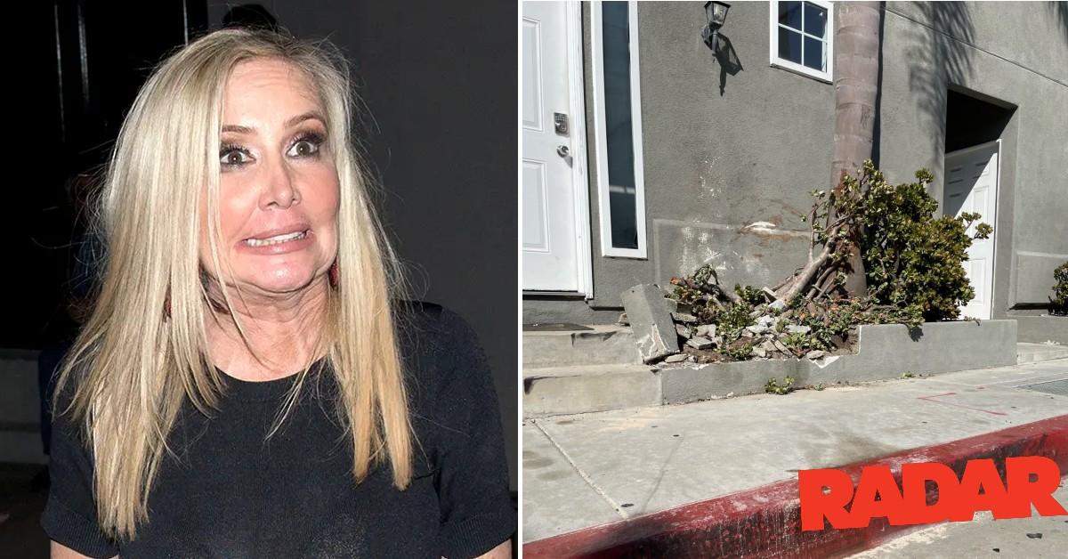 See Damage From Shannon Beador's Hit-and-Run 1 Week After DUI Arrest