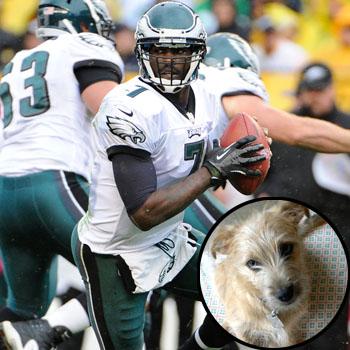 Michael vick clearance puppy bowl