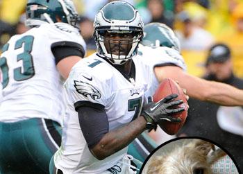 //michael vick dog getty