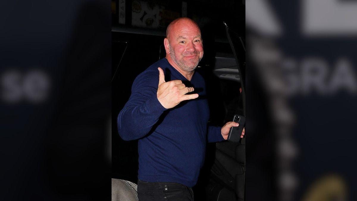 picture of Dana White