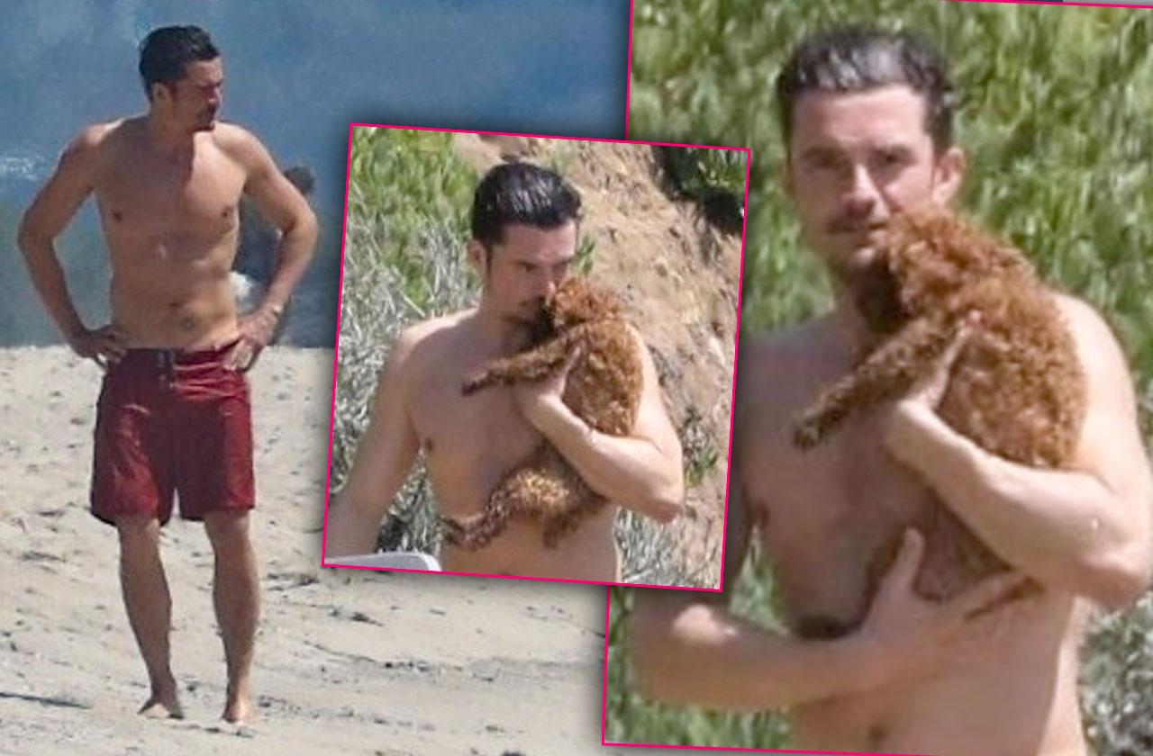 Orlando Bloom Shirtless Abs Puppy