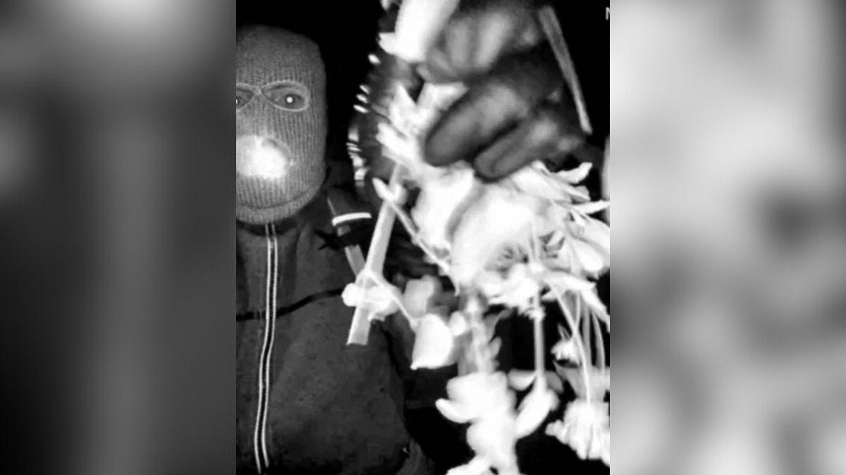 Photo of Nancy Guthrie Suspect