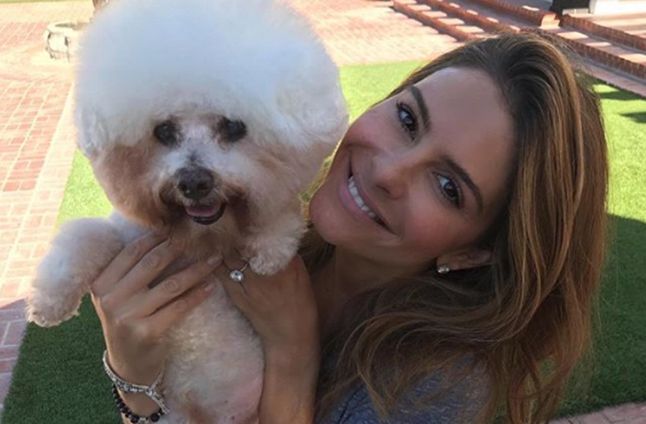 maria menounos dead dog horror pet euthanized actress bed