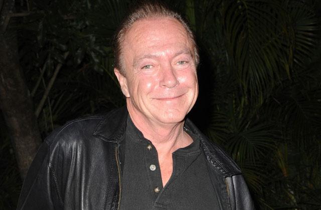 //david cassidy dementia battle pp