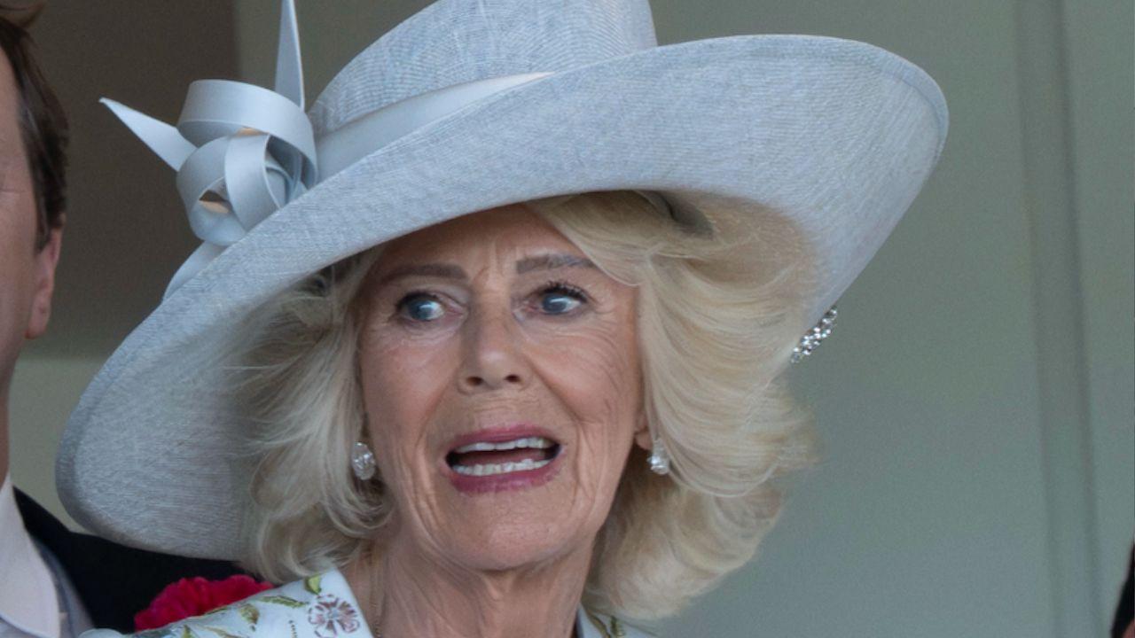 Photo of Queen Camilla