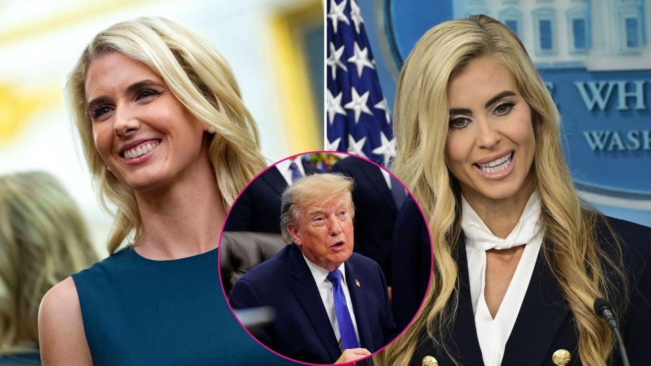 split image of Natalie Harp, Donald Trump, and Katie Zacharia