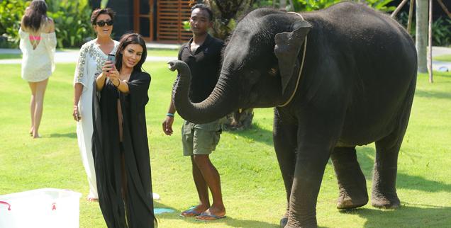 //kim kardashian scared elephants thailand family holiday