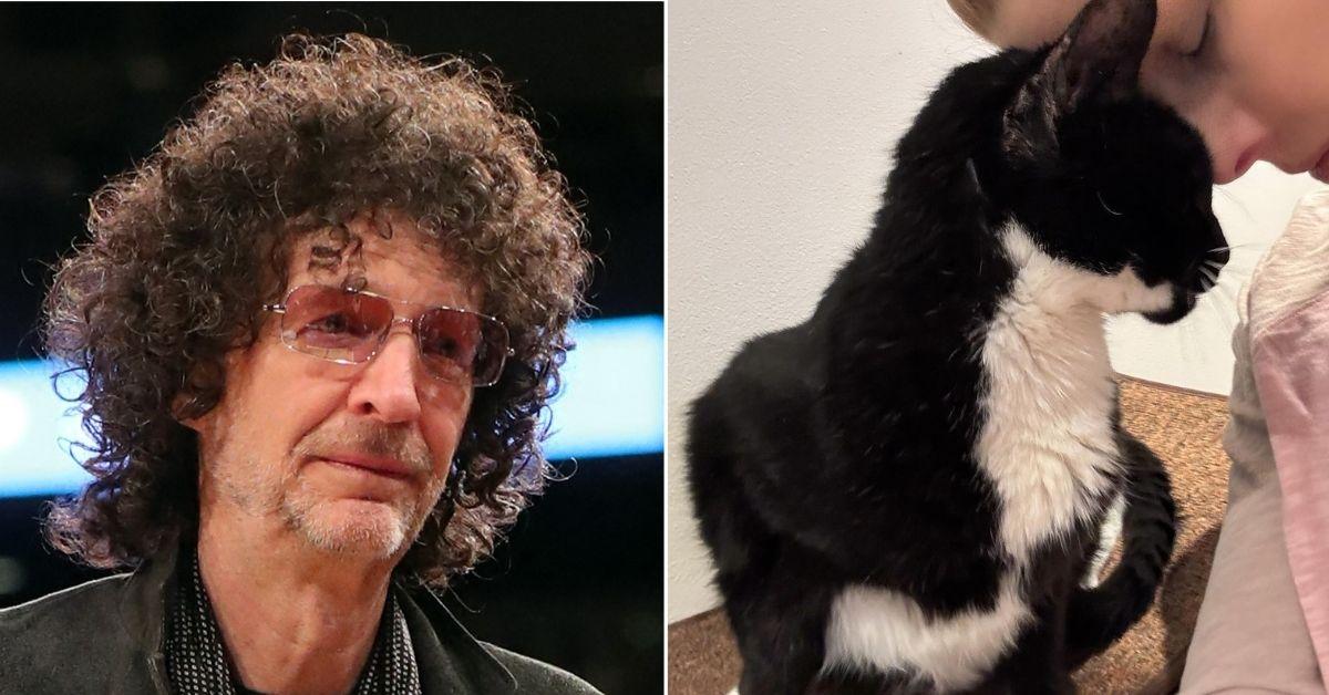 picture of Howard Stern and cat Bud