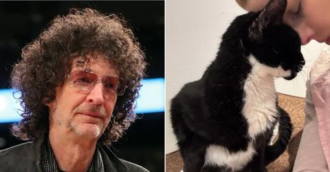 picture of Howard Stern and cat Bud