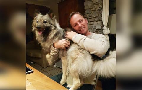 zoe mclellan ex husband jp gillain whacked jail son kidnapped mental institution ncis