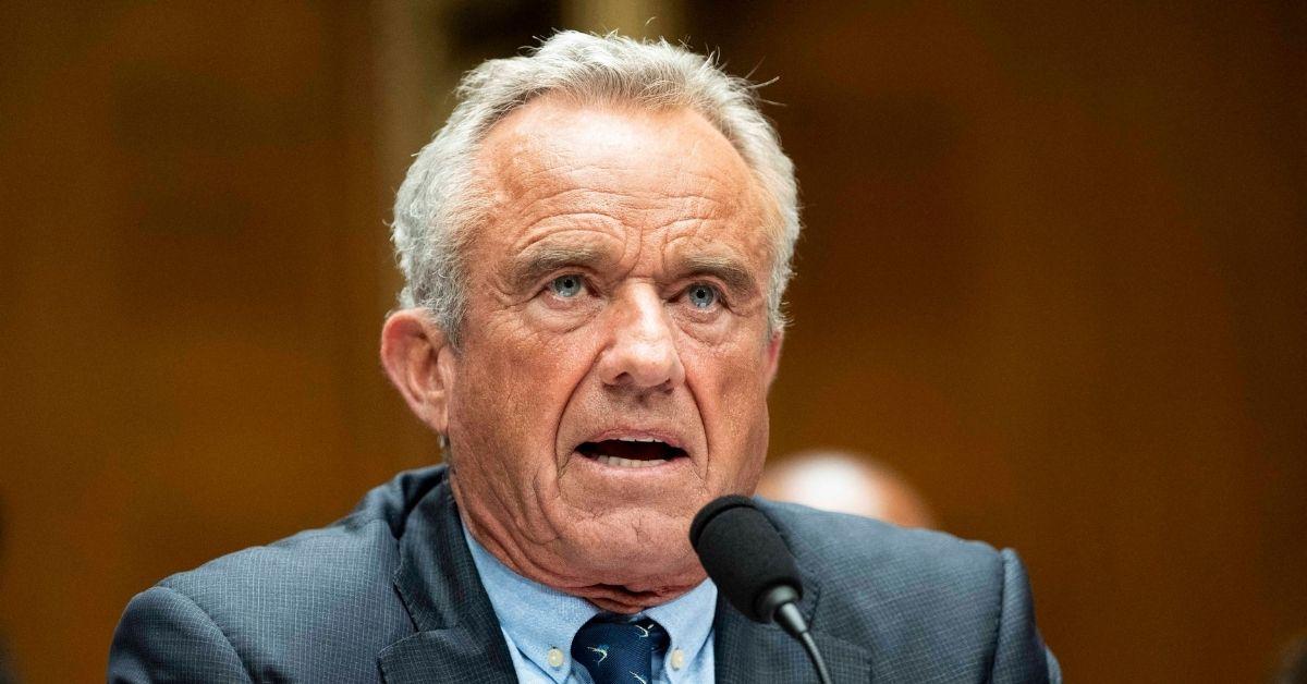 picture of Robert F. Kennedy Jr.