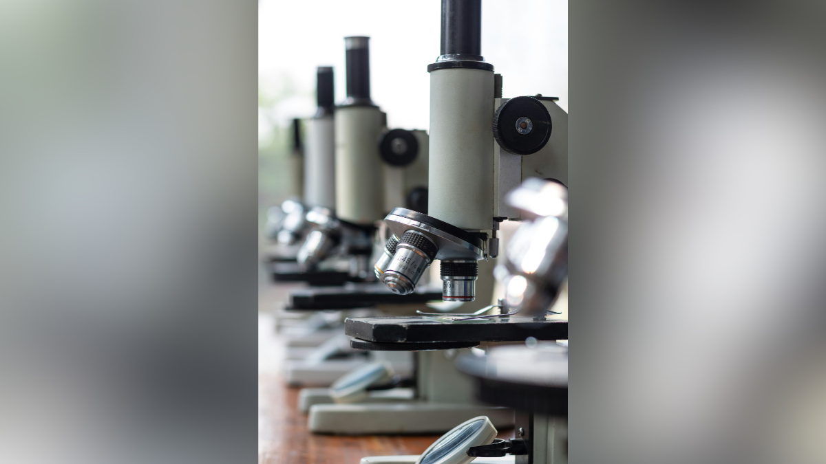 valerie juliet valdez circle inset image templates  x  px