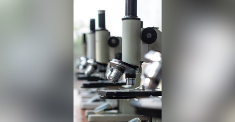 valerie juliet valdez circle inset image templates x px