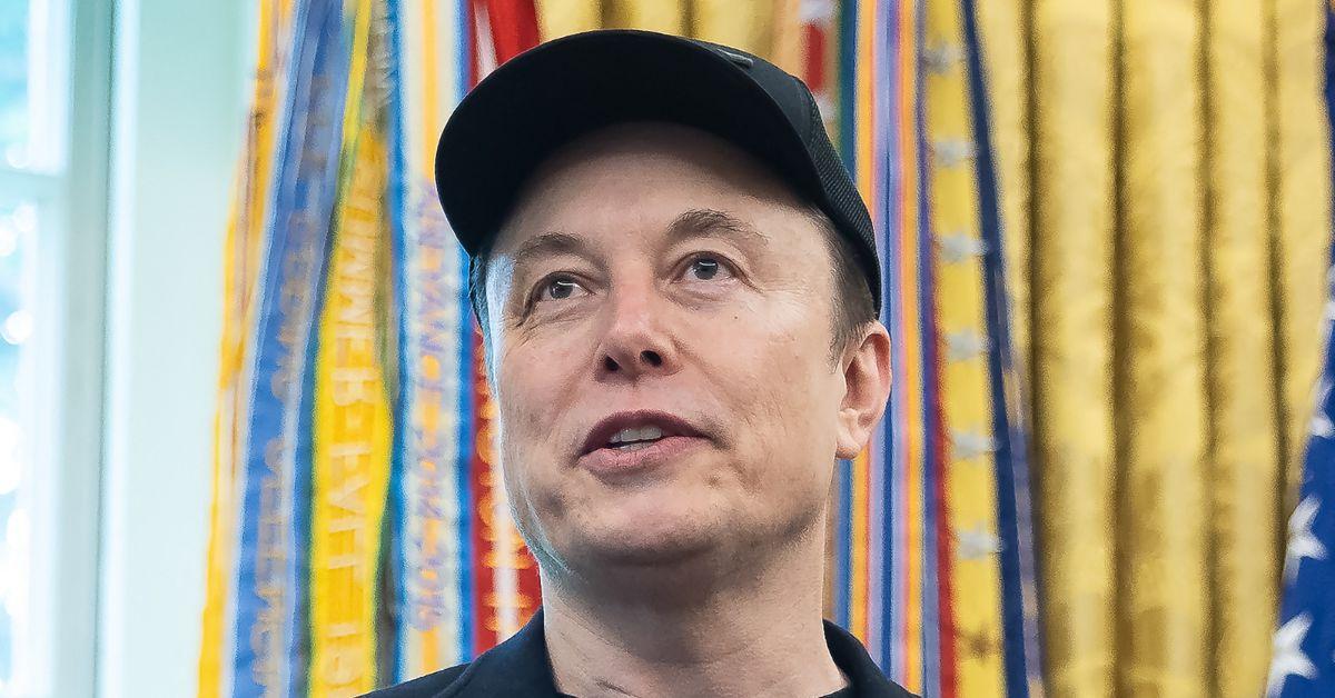 picture of Elon Musk