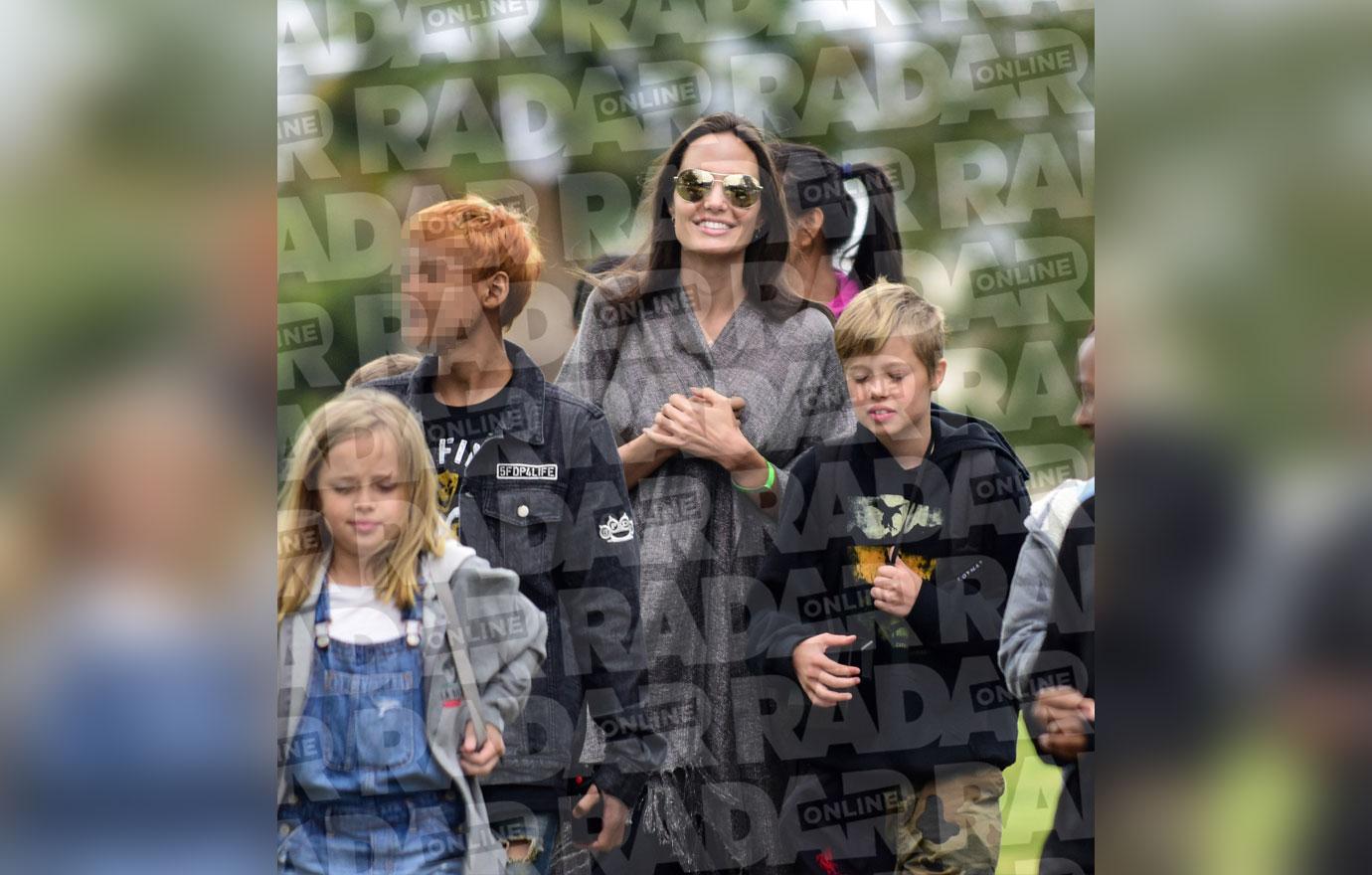 Angelina Jolie Divorce Kids Adopting