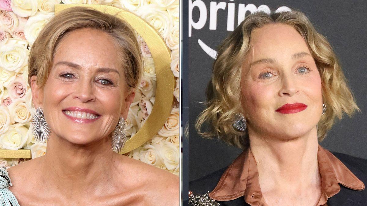 sharon stone plastic surgery Image 5