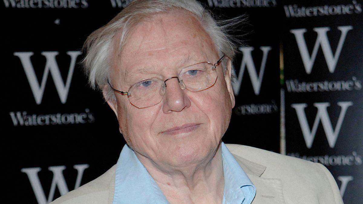 Photo of David Attenborough
