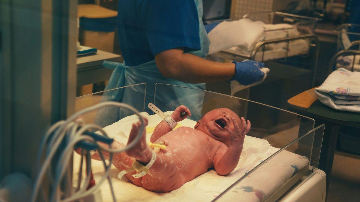 china surrogates us born babies