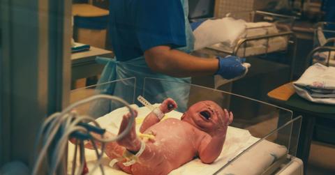 china surrogates us born babies