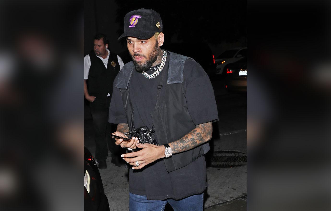 chris brown lawsuit los angeles sheriff police serve housekeeper dog attack r