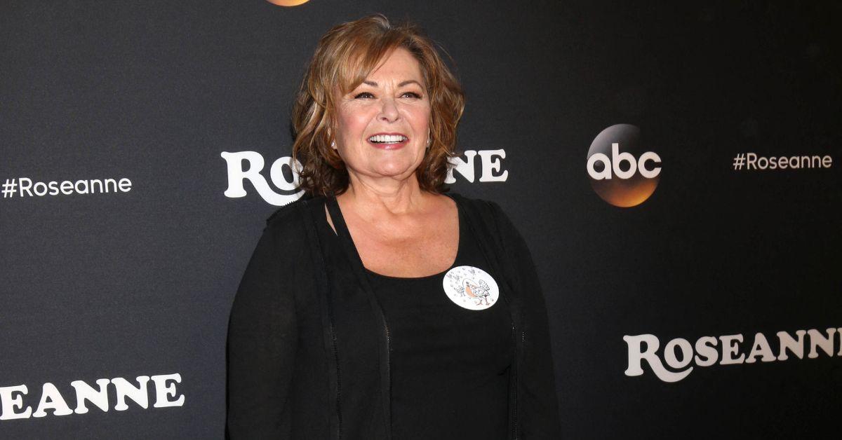 roseanne barr comeback new show hollywood shakeup