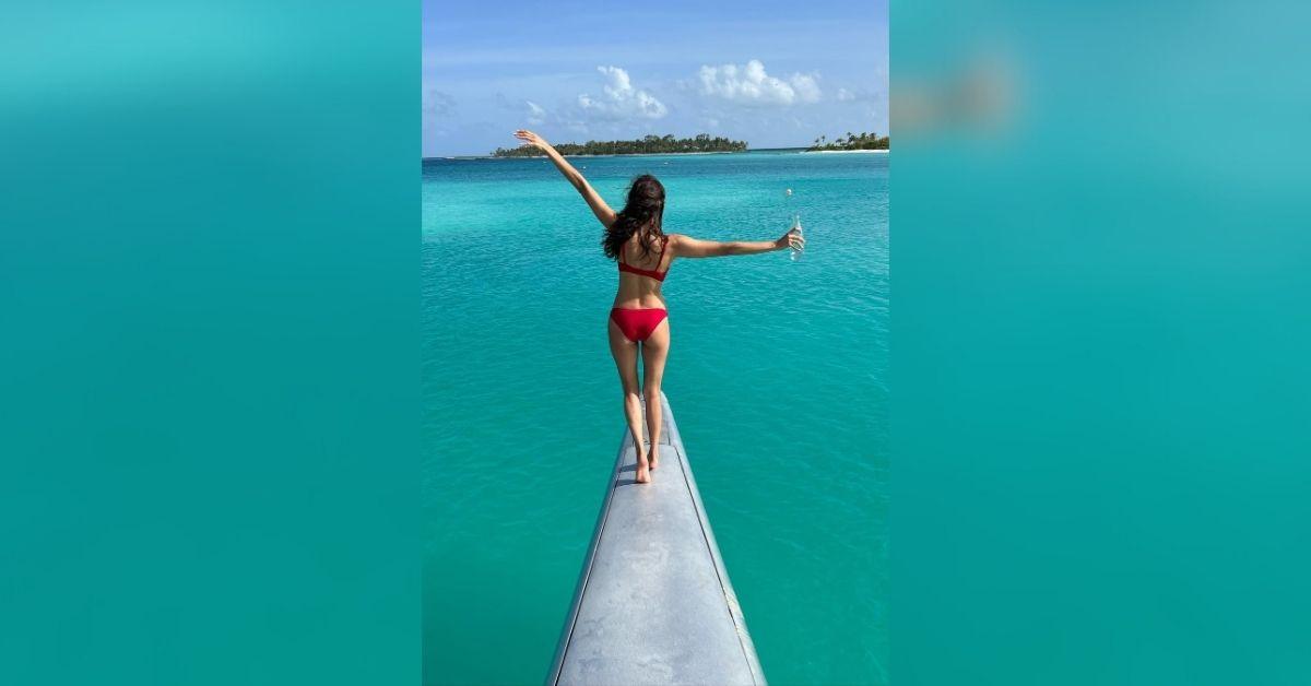 nina dobrev best bikini photos