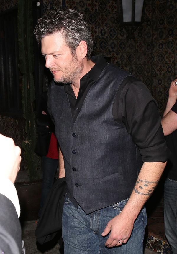 Blake Shelton Miranda Lambert Divorce Grammys Fight