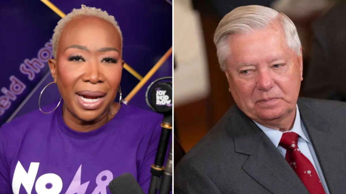 Joy Reid went off on late senator Lindsey Graham.