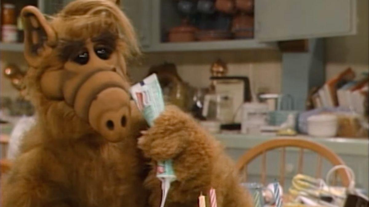 Photo of 'Alf'