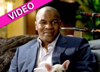 //mike tyson the hangover nc