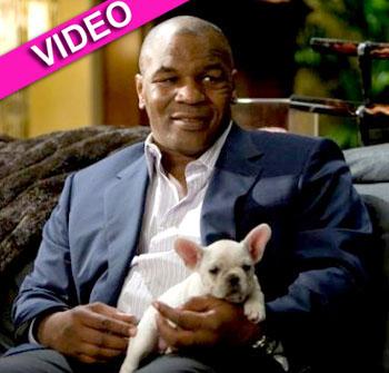 Mike Tyson's Candid Drug Confession: Was High On Coke Throughout