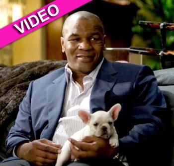 //mike tyson the hangover nc